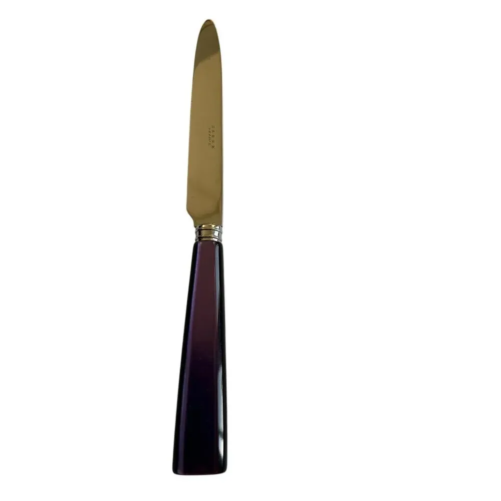 NEW Sabre Paris Icône Purple Dinner Knife 18/10 Stainless Acrylic